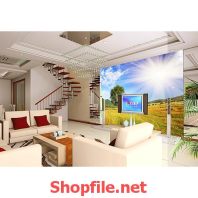 cánh đồng cỏ giấy dán tường