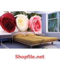 bông hoa hồng giấy dán tường
