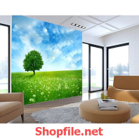 ngọn đồi cỏ giấy dán tường