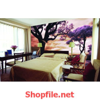 cái cây buổi chiều ta giấy dán tường