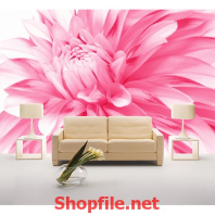 tranh dán tường hoa cúc hồng