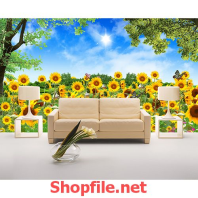 cánh đồng hoa hướng dương tranh dán tường