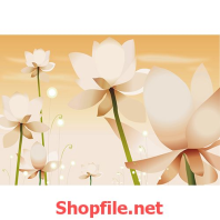 tranh dán tường bông sen trắng