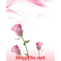 bông hoa hồng đẹp tranh dán tường