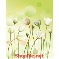 hoa cỏ trắng tranh dán tường