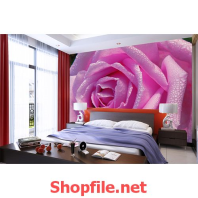 bông hoa đẹp tươi tranh dán tường