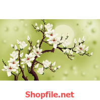 cành hoa đào màu trắng tranh dán tường