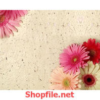 tranh dán tường bông hoa trên cát