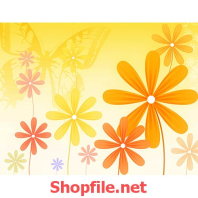 tranh dán tường bông hoa mặt trời