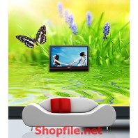 tranh dán tường chú  bướm đen trên bãi cỏ