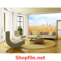 tranh dán tường cánh đồng lúa