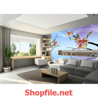 tranh dán tường bông hoa trên mặt nước