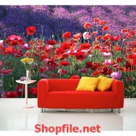 tranh dán tường vườn hoa hồng