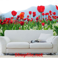 tranh dán tường hoa ly đỏ mọc dại