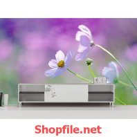 tranh dán tường hoa dại