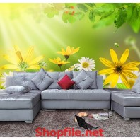 tranh dán tường ánh bình minh