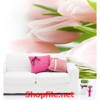 tranh dán tường hoa ly hồng trên mặt nước