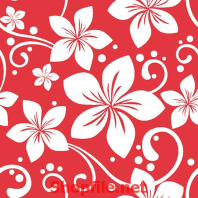 giấy dán tường bông hoa trắng