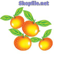 Vector họa tiết tết quả cam