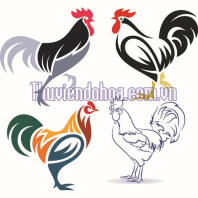 Con gà miễn phí download