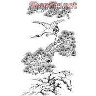 Vector chú chim và hoa lan rừng