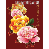 Vector hoa mai nhiều màu sắc