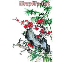 Vector hoa cúc và tản đá