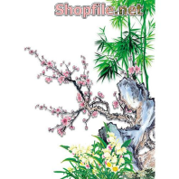 Vector bông hoa cúc nở rộ