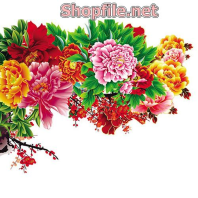 Vector những bông hoa cúc rực rỡ