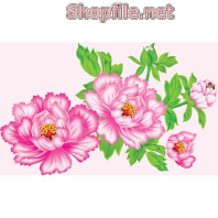 Vector hoa cúc hồng đẹp tươi