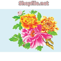 Vector bông cúc hồng và bông cúc vàng