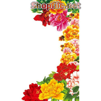 Vector muôn màu hoa cúc đẹp