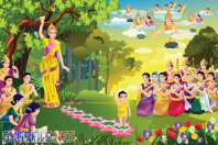 Vector thần tiên vườn lâm tỳ ni phật đản sanh