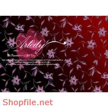 Mẩu pattern in ấn độc đáo