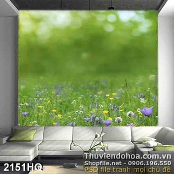 Tranh hoa cúc trang trí tường đẹp