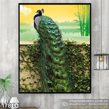 Tranh chim công màu xanh nhìn phía xa đẹp wall
