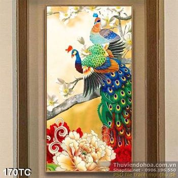 Tranh chim công xòe đuôi khoe sắc