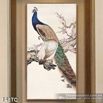Tranh chim công vẽ nghệ thuật đẹp 3d
