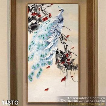 Tranh chim công xòe đuôi màu trắng