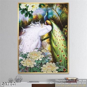 Tranh chim công vẽ tay màu trắng ấn tượng đẹp 3d