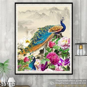 Tranh chim công treo trường psd đẹp