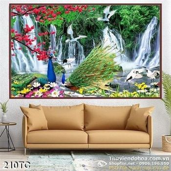 Tranh chim công xòe đuôi bên thác nước wal đẹp