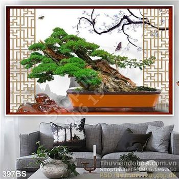Chậu bonsai gốc lớn và khung cửa sổ