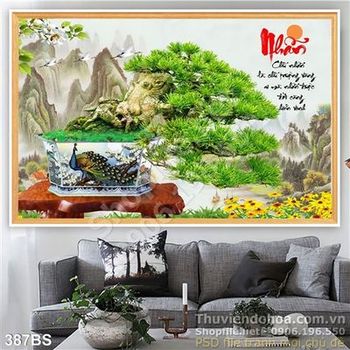 Chậu bonsai lớn chữ nhẫn