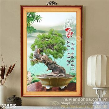 Chậu bonsai gốc thông lớn chữ thọ