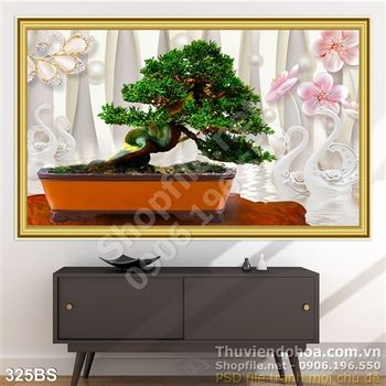 Chậu bonsai mini để bàn trang trí