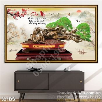 Chậu bonsai gốc lớn độc đáo