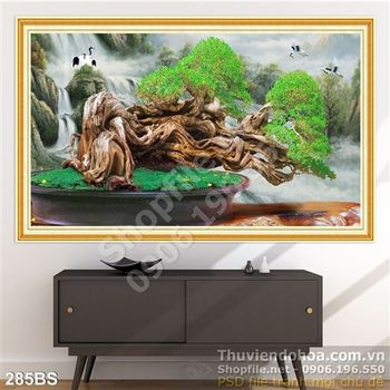 Chậu bonsai gốc lớn đep in gạch uv