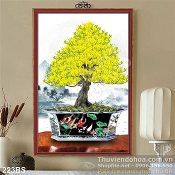 Chậu bonsai hoa mai