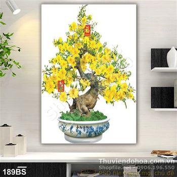 Chậu bonsai hoa mai tết 2020